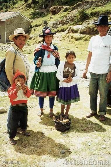 Récupération de patates natives à Vicos, Huaráz