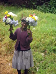 Vendeuse de fleurs sur le trajet du Machu Picchu