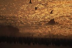 Coucher de soleil  Punta Coles