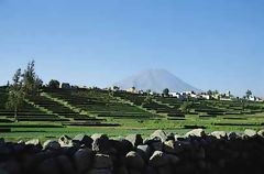 Arequipa