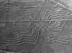 L'Araignée, Nazca