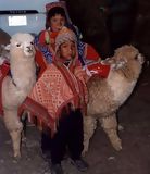 Enfants et lamas près de Cusco, Cuzco