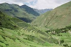 Cultures en terrasses  Pisac