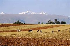 Valle du Mantaro