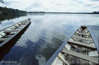 Lac Sandoval, Manu