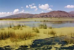 Lac Titicaca