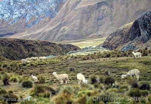 Cordillre Blanche