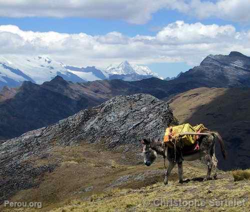 Cordillère Blanche