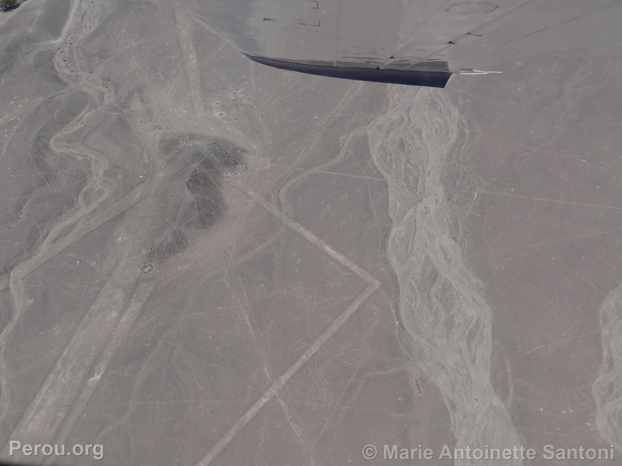 Lignes de Nazca