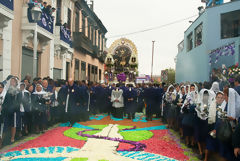 Procession du Seigneur des Miracles