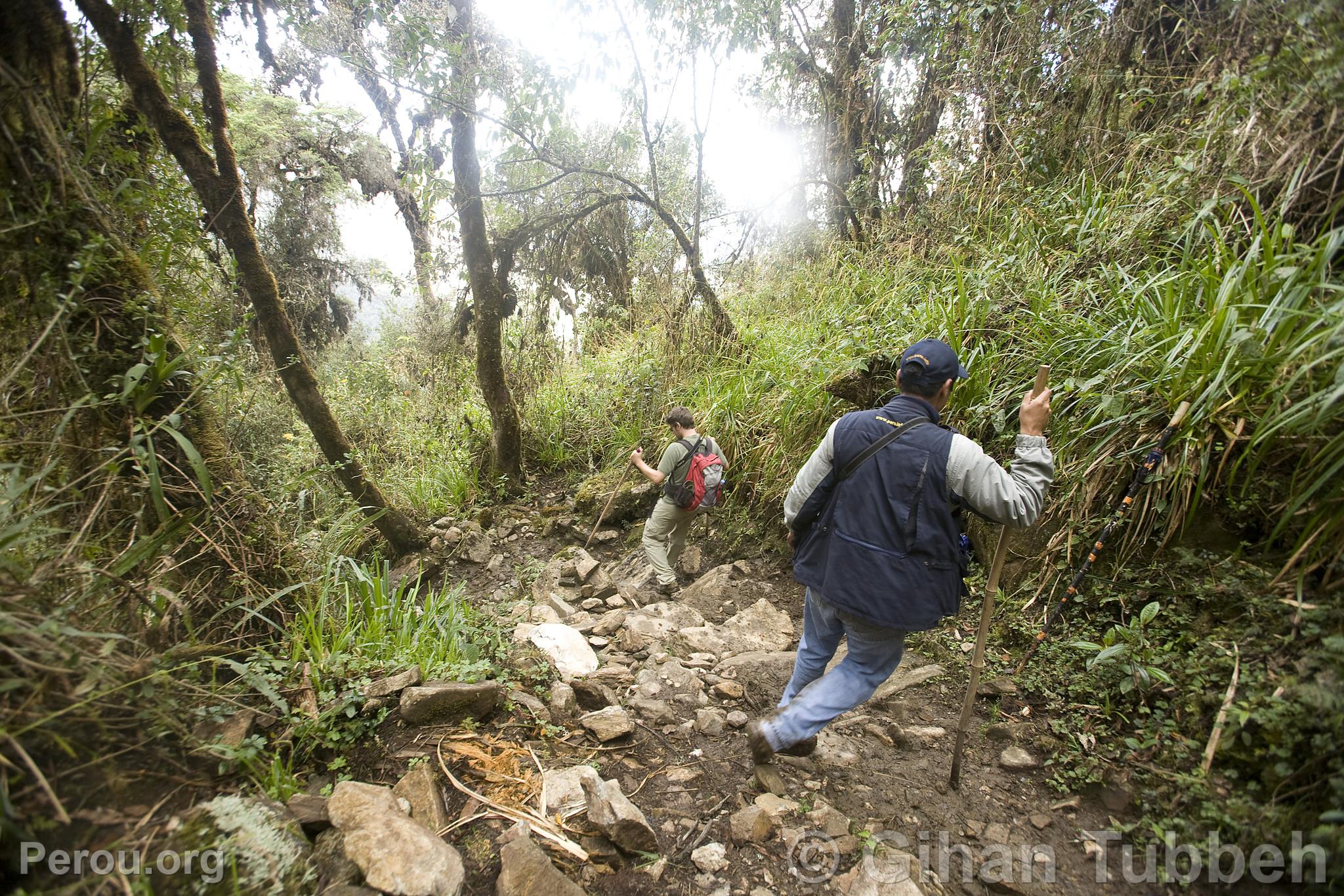 Trekking  Choquequirao