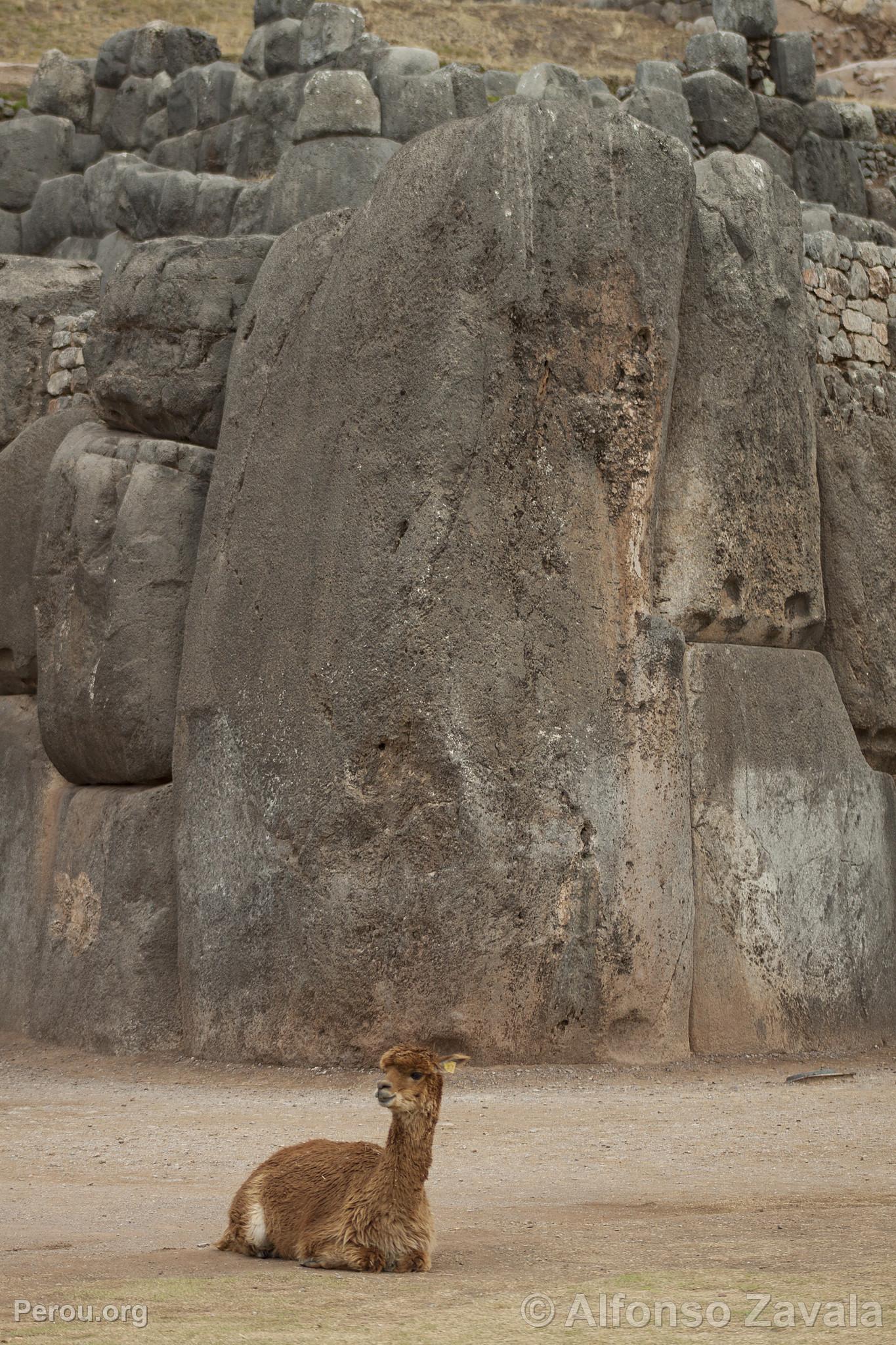 Forteresse de Sacsayhuamán, Sacsayhuaman