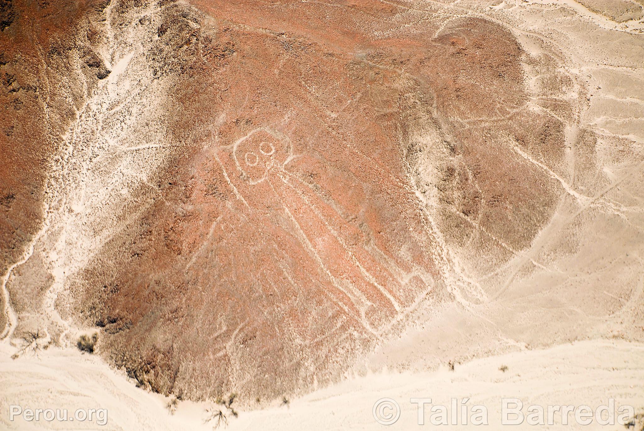 Lignes de Nazca
