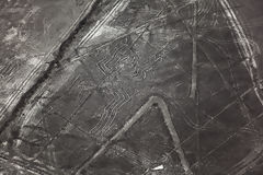 Lignes de Nazca