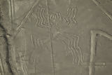 Lignes de Nazca