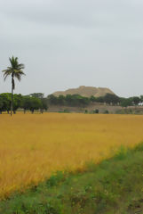 Valle des Pyramides de Tcume