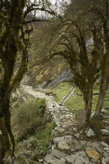 Trekking  Choquequirao