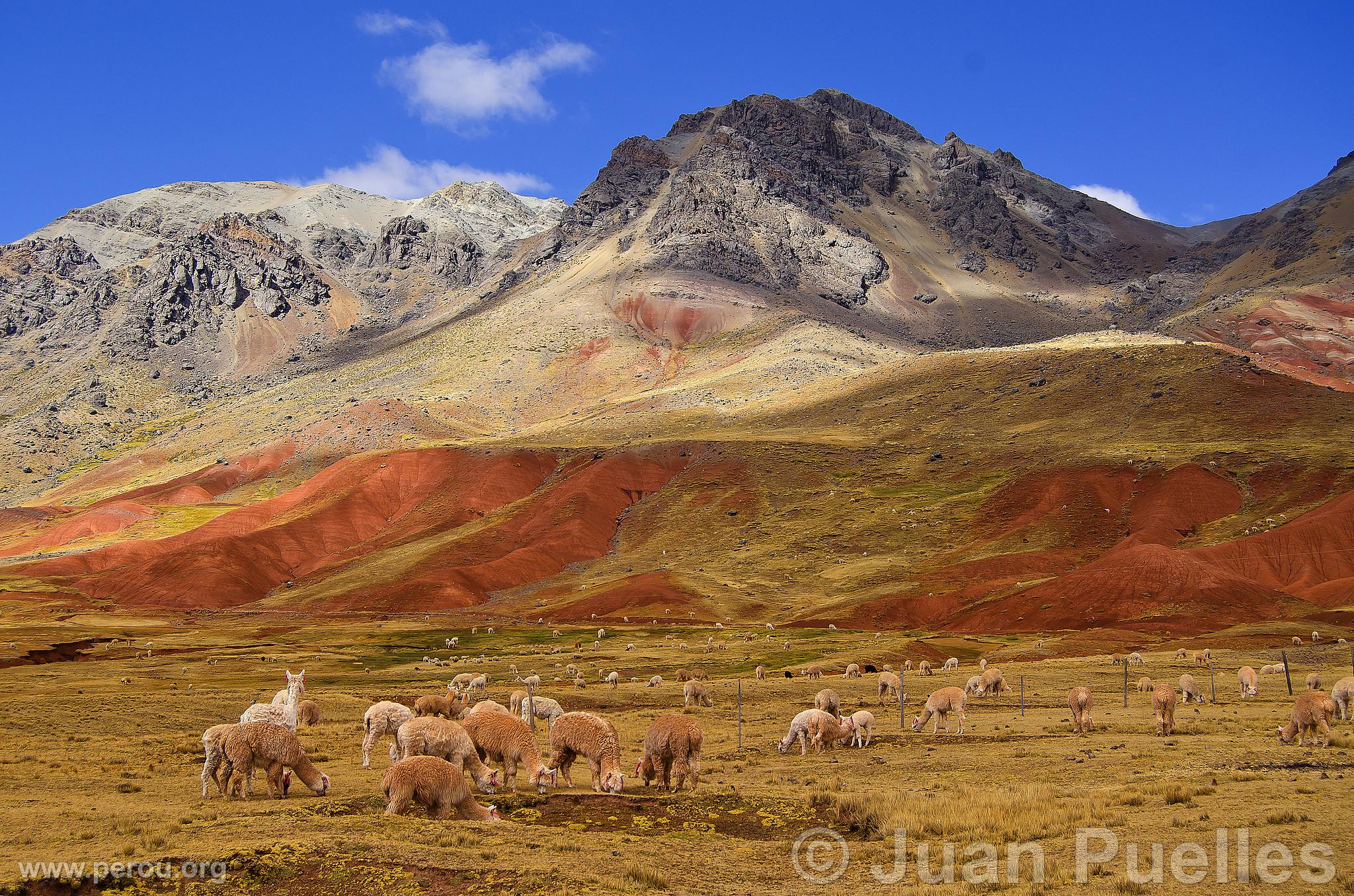 Photo du Pérou