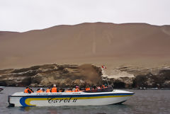 Chandelier de Paracas