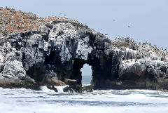 Îles Palomino, Callao