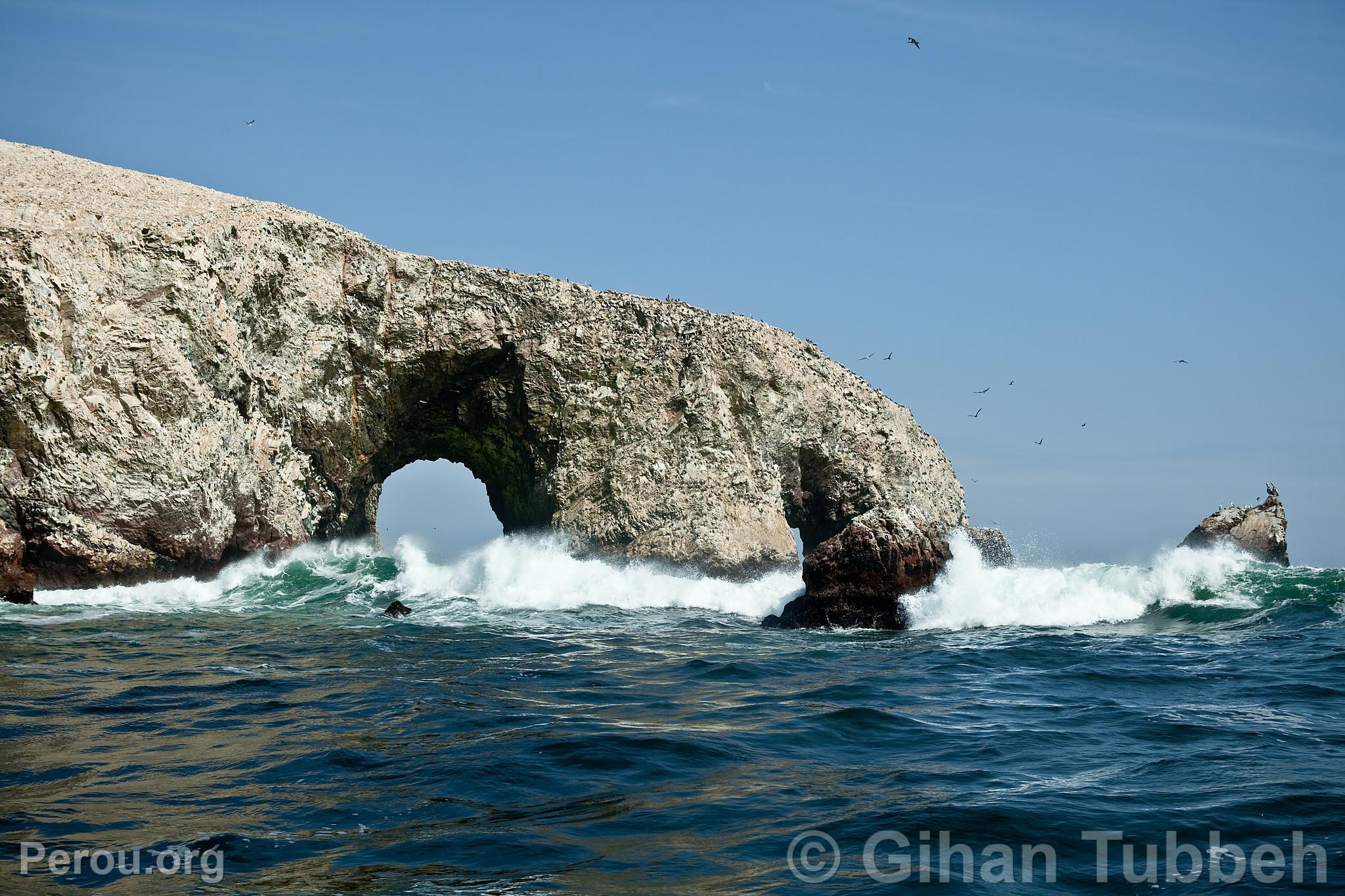 Iles Ballestas, Paracas