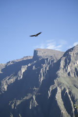 Canyon de Colca