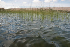 Lac Titicaca