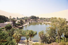 Lagune de Huacachina