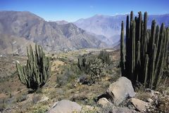 Vallée du Colca