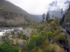 Fleuve Urubamba