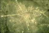 Le Colibri, Nazca