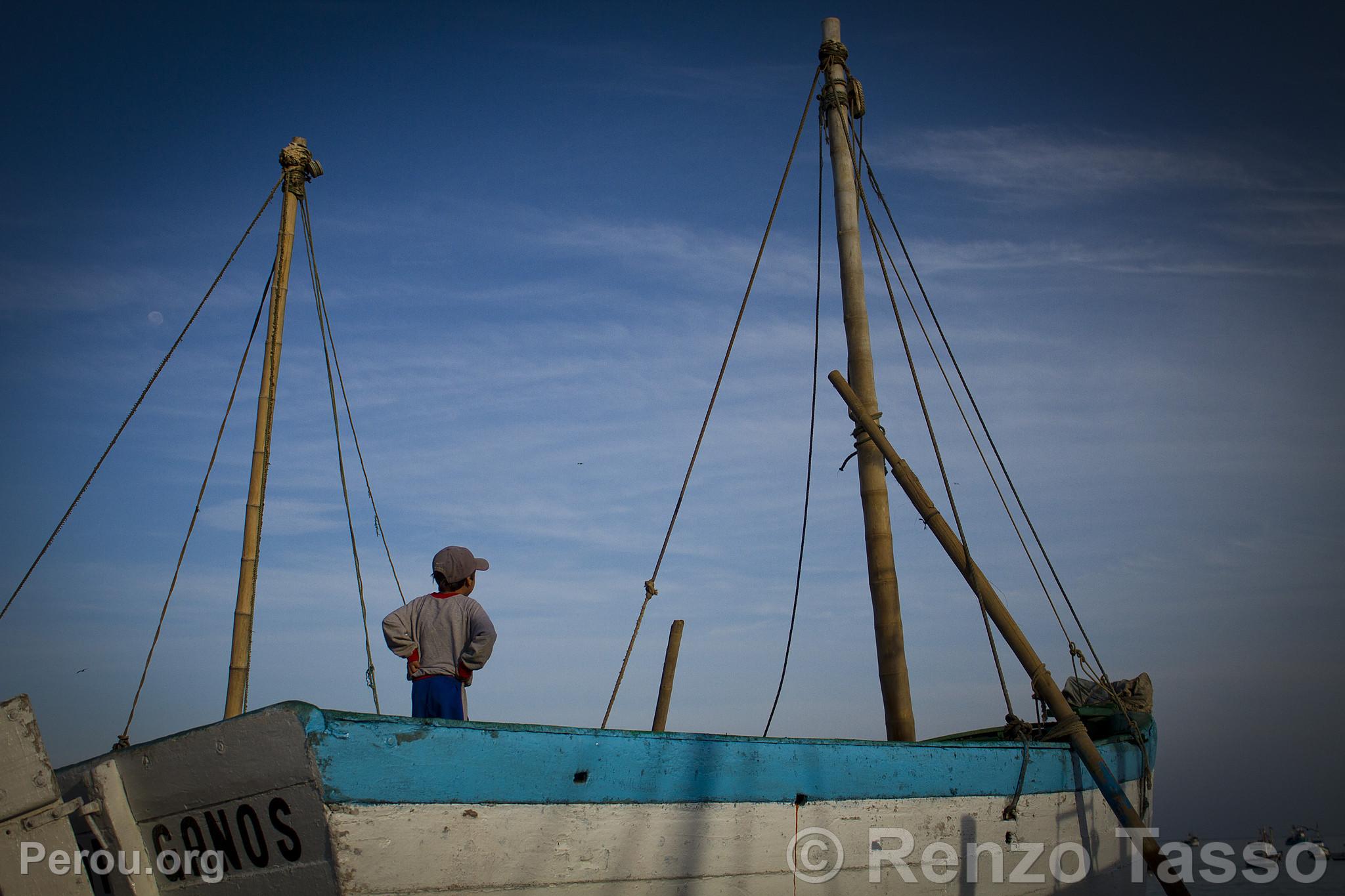 Bateau  Los rganos