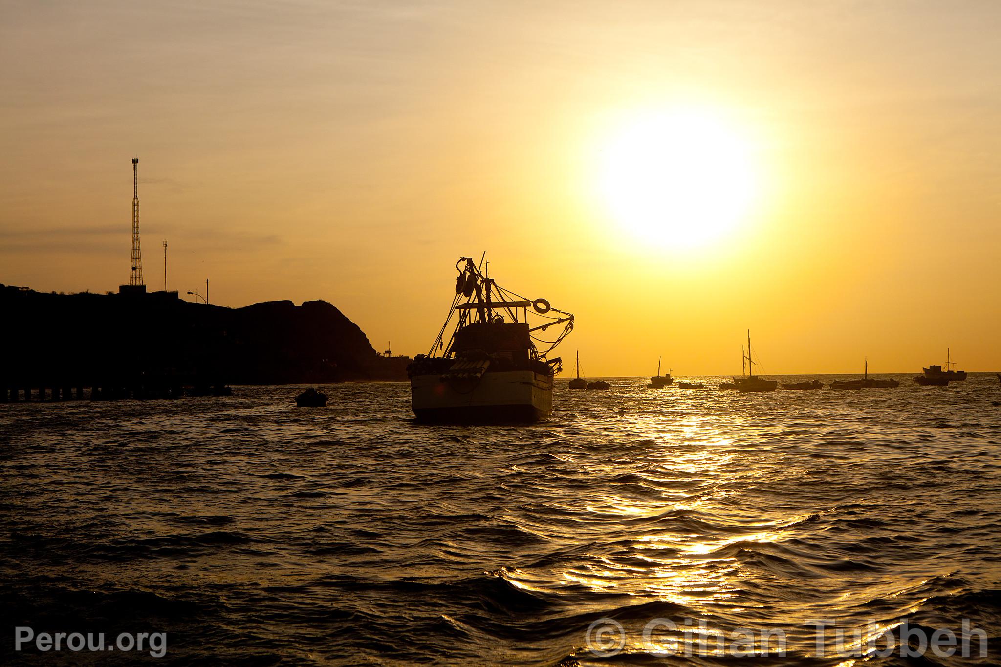 Bateau  Los rganos