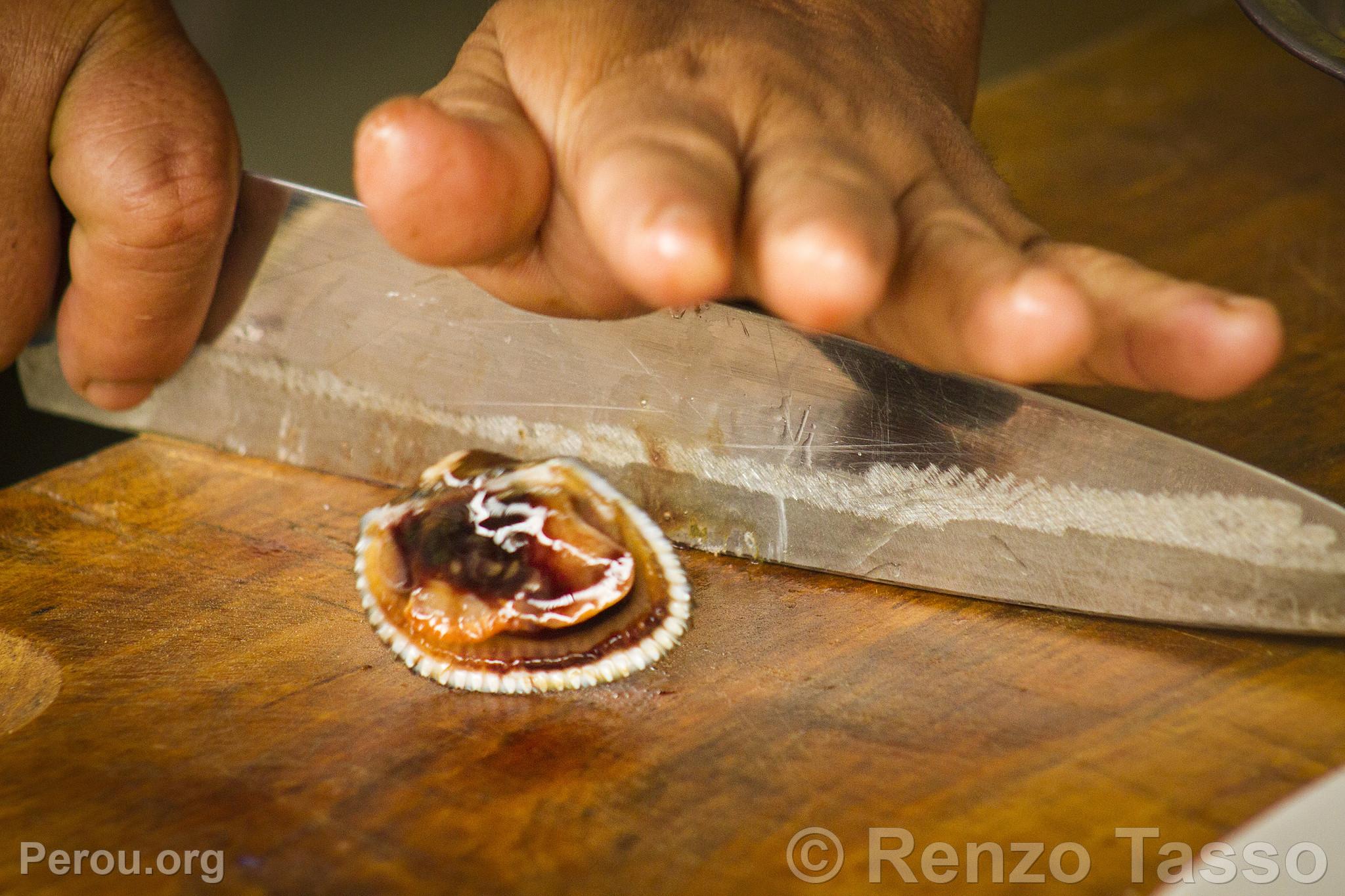 Ceviche de coquilles noires