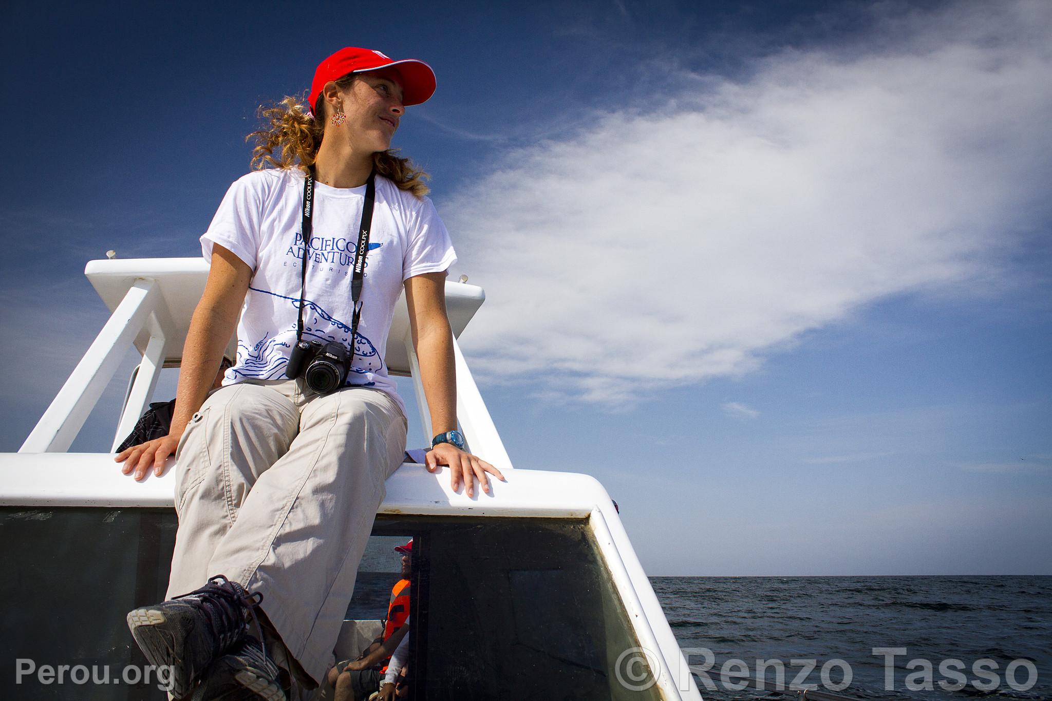 Observation des baleines