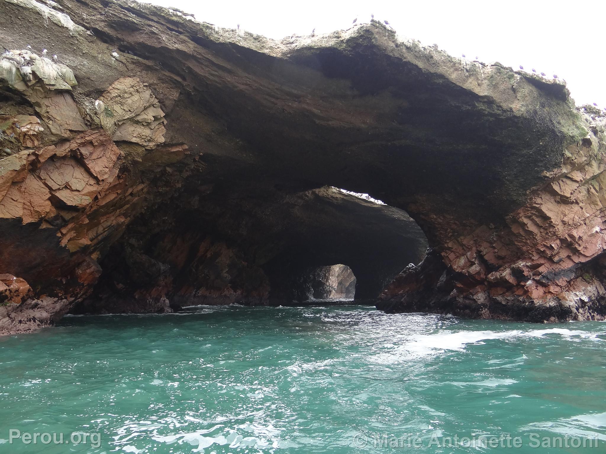 Iles Ballestas, Paracas