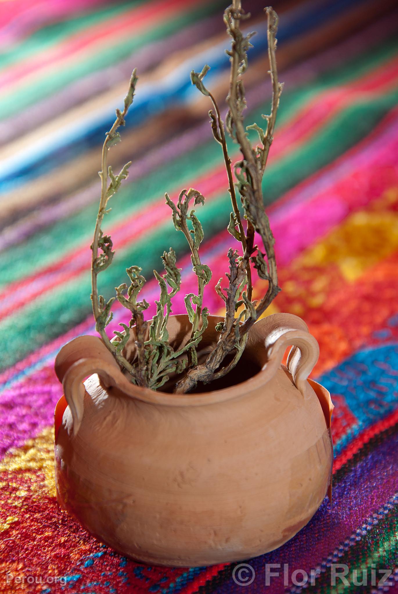 Chiri chiri